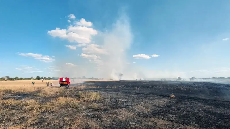 Пожежі на Дніпропетровщині знищили понад 26 гектарів екосистем: є постраждалий