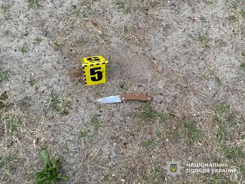 На Дніпропетровщині чоловік під час відпочинку поранив товариша ножем: справу передали до суду